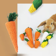 Corn and Carrot Woven Chew Balls for Hamsters for hamsters, rabbits, gerbils, and mice from Burrowly small pet supplies.