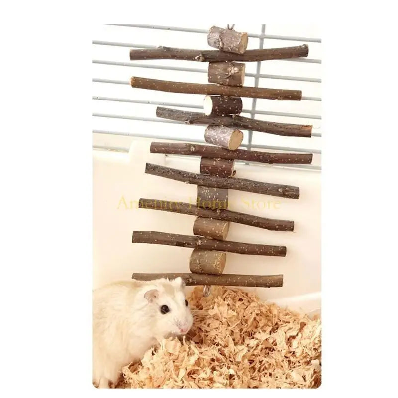 Natural Molar Chew Sticks for Hamsters and Rabbits for hamsters, rabbits, gerbils, and mice from Burrowly small pet supplies.
