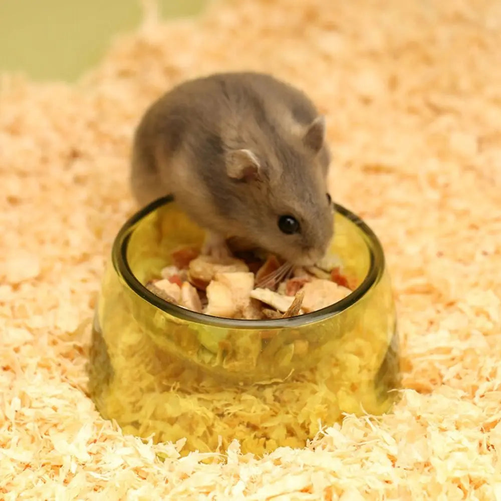Bite Resistant Hamster Food Basin Non-slip Plastic Rat Food Water Dish Transparent Hamster Water Bowl