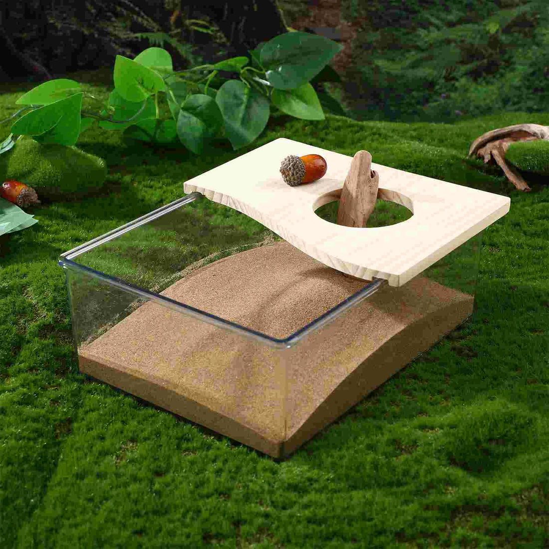 Clear Acrylic Sand Bath Box for Hamsters and Chinchillas for hamsters, gerbils, and chinchillas from Burrowly small pet supplies.