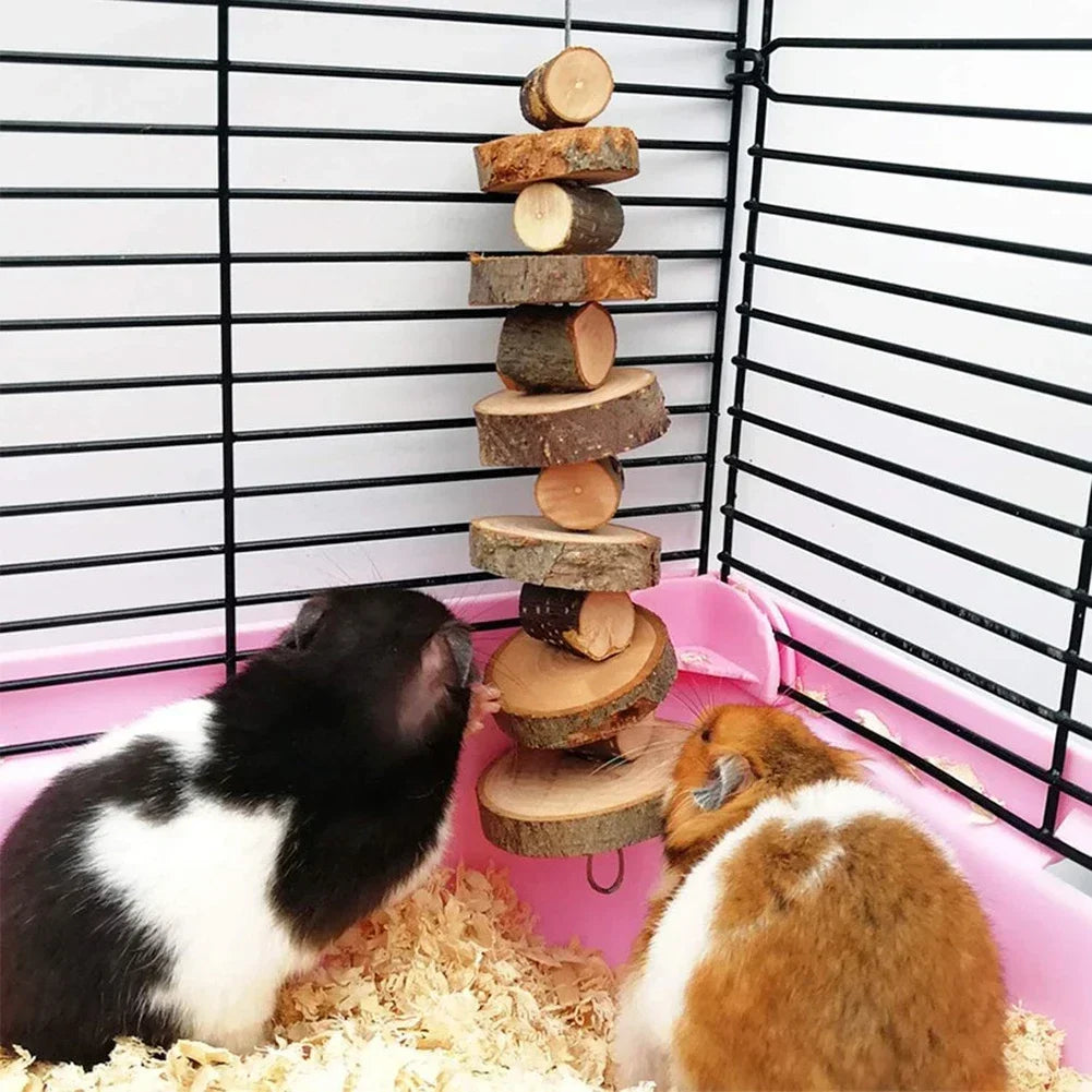 Natural wood chew toy assortment for small pet enrichment from Burrowly.