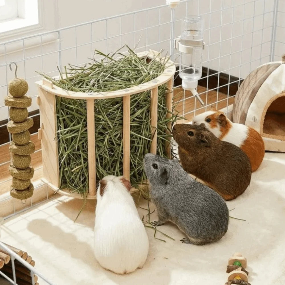 Wooden bunny hay feeder rack for Burrowly small pet forage routines.