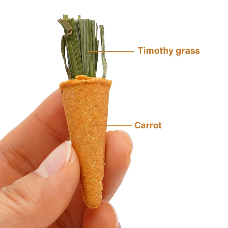 Small Animal Natural Chew Toy Set for rabbits, hamsters, guinea pigs, and chinchillas from Burrowly small pet supplies.