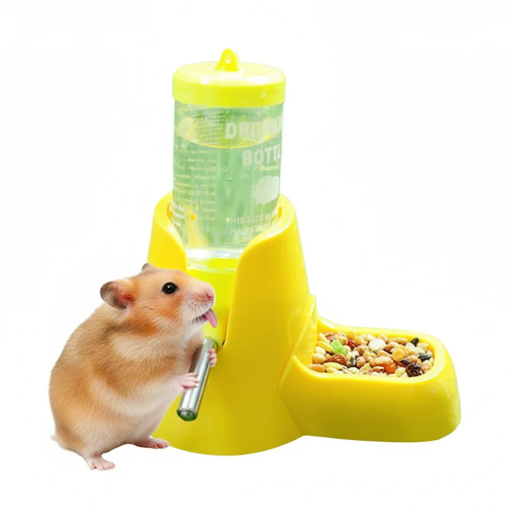 Leak-Proof Water Bottle with Food Bowl