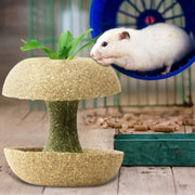 Hamster Chew Toys for Teeth Guinea Pig Chew Toys for Teeth Food Chews for Burrowly hay & forage and small pet care.