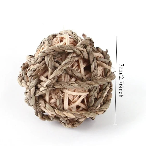 Hanging Grass and Wood Chew Toy Set for rabbits, guinea pigs, hamsters, and chinchillas from Burrowly small pet supplies.