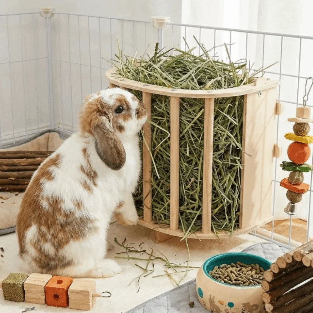 Wooden bunny hay feeder rack for Burrowly small pet forage routines.