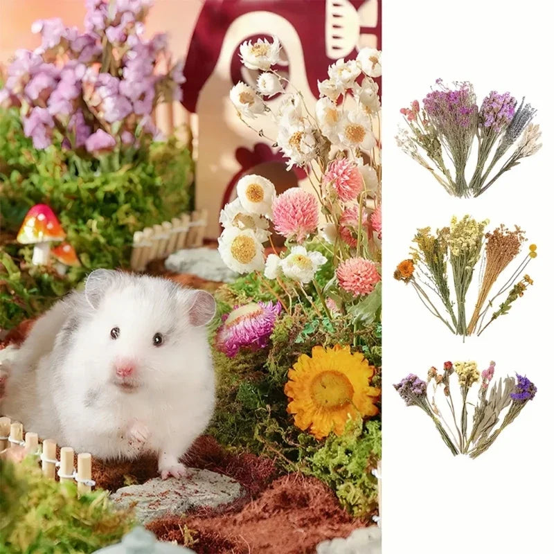 Handcrafted Hamster Cage Decors Dried Flower Bedding Promotes Natural Foraging Behavior Y5GB