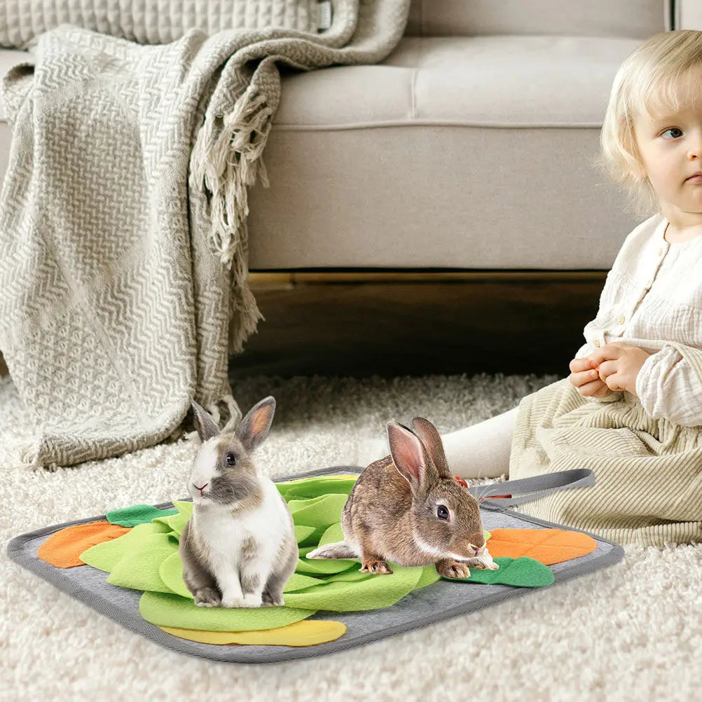 2pcs Polar Fleece Rabbit Snuffle Mat Slow Feeding Foraging Cushion for