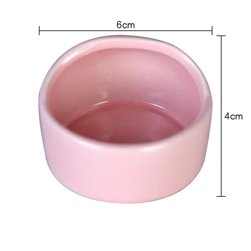 Anti-tip ceramic bowl for small pet feeding from Burrowly.