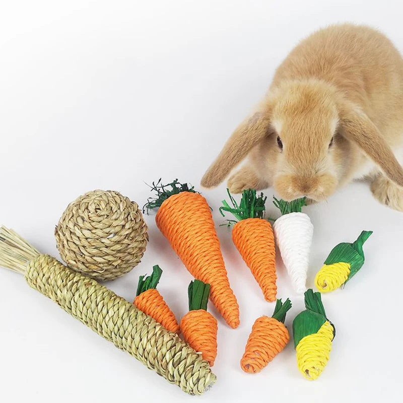Corn and Carrot Woven Chew Balls for Hamsters for hamsters, rabbits, gerbils, and mice from Burrowly small pet supplies.
