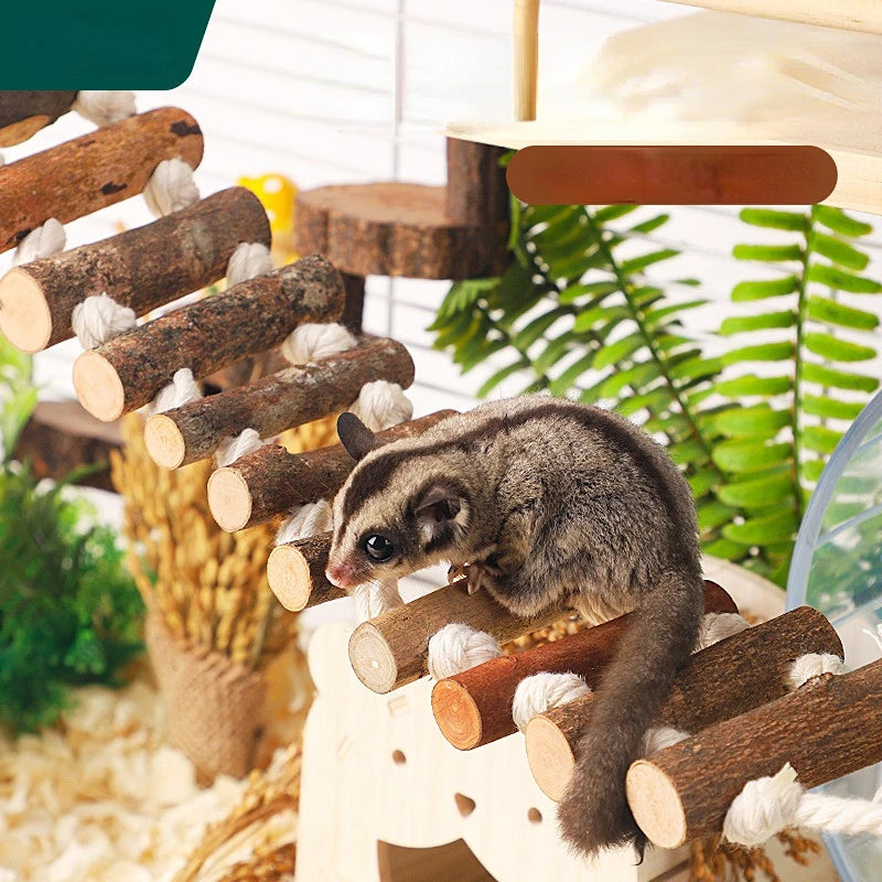 Hamster Chew Toys Small Animal Molar Toys Teeth Care Wooden for Guinea
