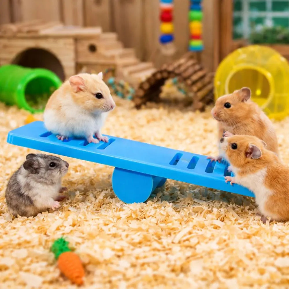 Pet Exercise Toy Plastic Hamster Seesaw Toy Colorful Creative Rodents Seesaw Puzzle Pet Cage Toy Pet Sport Exercise