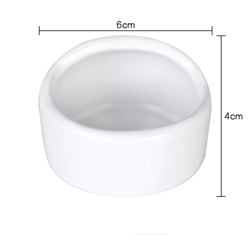 Anti-tip ceramic bowl for small pet feeding from Burrowly.