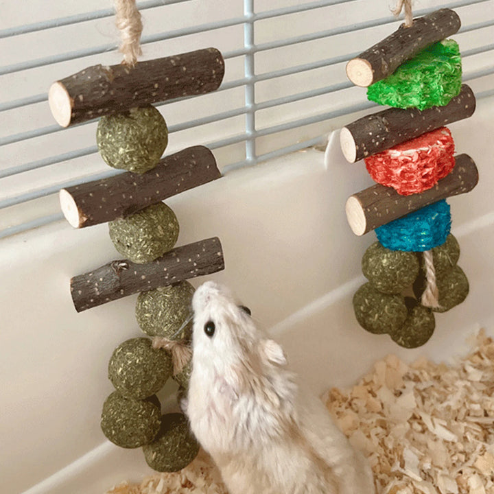 Wooden Chew Set for Guinea Pigs and Rabbits for guinea pigs, rabbits, hamsters, and chinchillas from Burrowly small pet supplies.