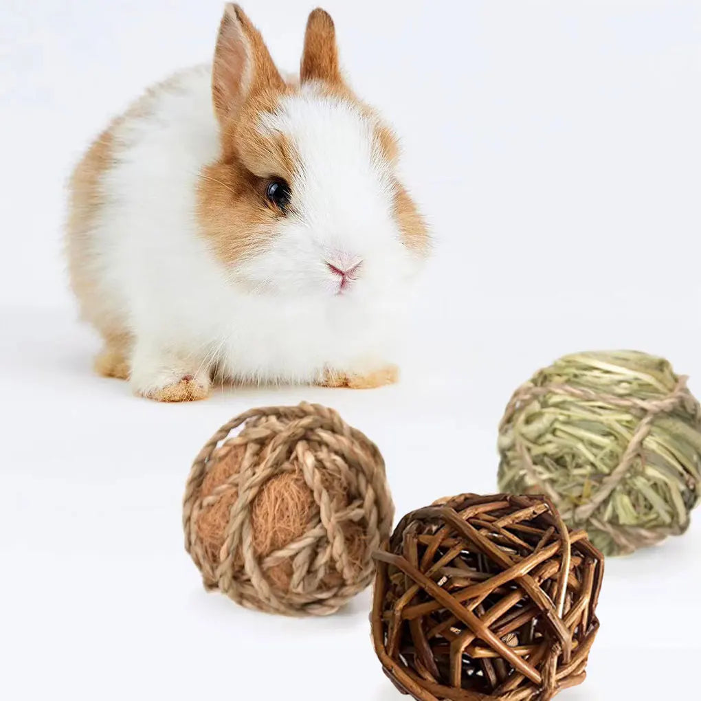 9-Piece Willow Branch Chew Ball Set for guinea pigs, rabbits, hamsters, and chinchillas from Burrowly small pet supplies.