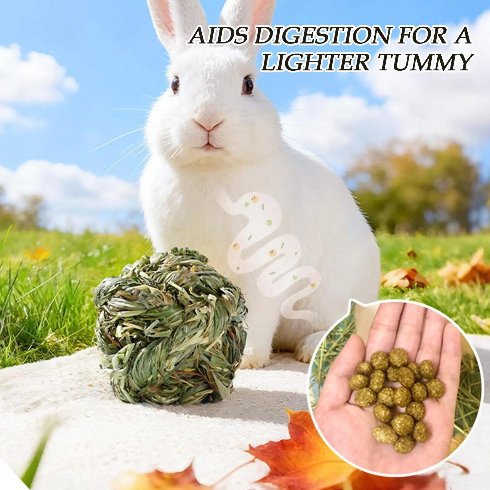 Rabbits Chew Toys Timothy Hay Balls Natural Edible Grass Toy for Teeth