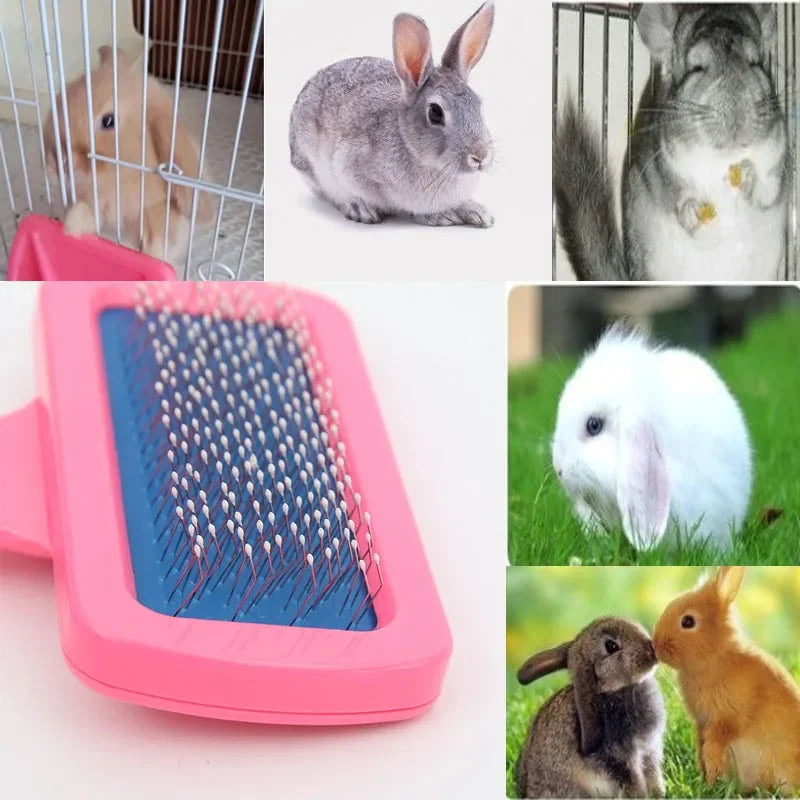 Two in one small pet grooming brush for rabbit and guinea pig coat care from Burrowly.
