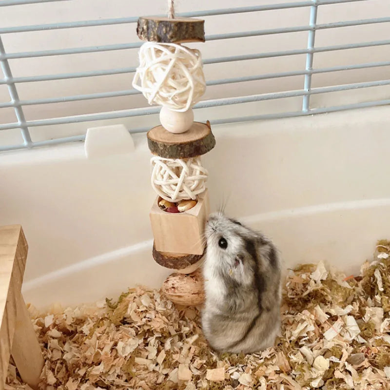 Wooden Foraging Snack Box for Hamsters for hamsters, gerbils, and mice from Burrowly small pet supplies.