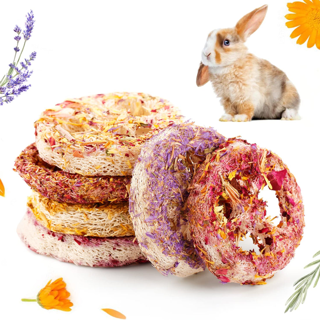 Loofah Chew Toys for Small Pets - 6 Pack for hamsters, guinea pigs, rabbits, rats and mice, chinchillas from Burrowly sm