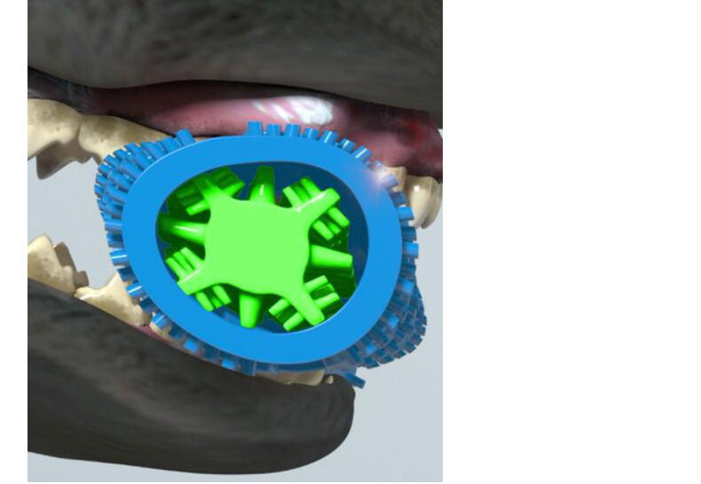 Rubber tooth cleaning chew toy for cats and dogs - image 1