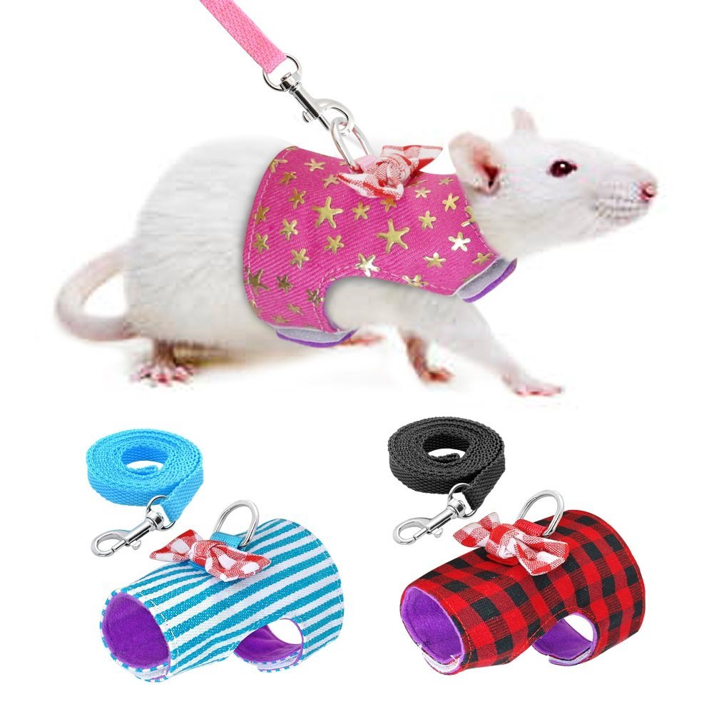 Small Pet Harness and Leash Set - Pink Star for hamsters, rats and mice from Burrowly small pet supplies.