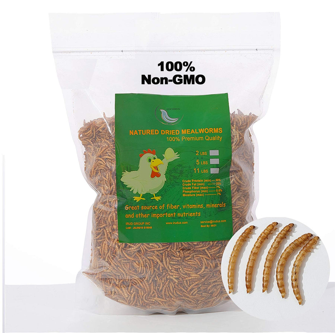 Natural Dried Mealworms Treats for Hamsters and Hedgehogs - 6 lb