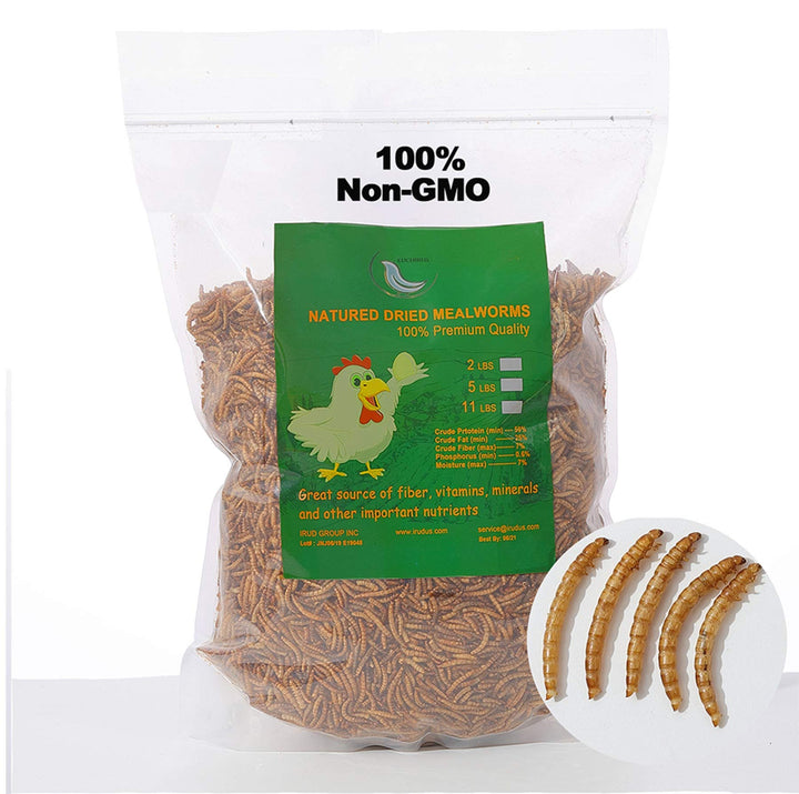 Natural Dried Mealworms Treats for Hamsters and Hedgehogs - 6 lb