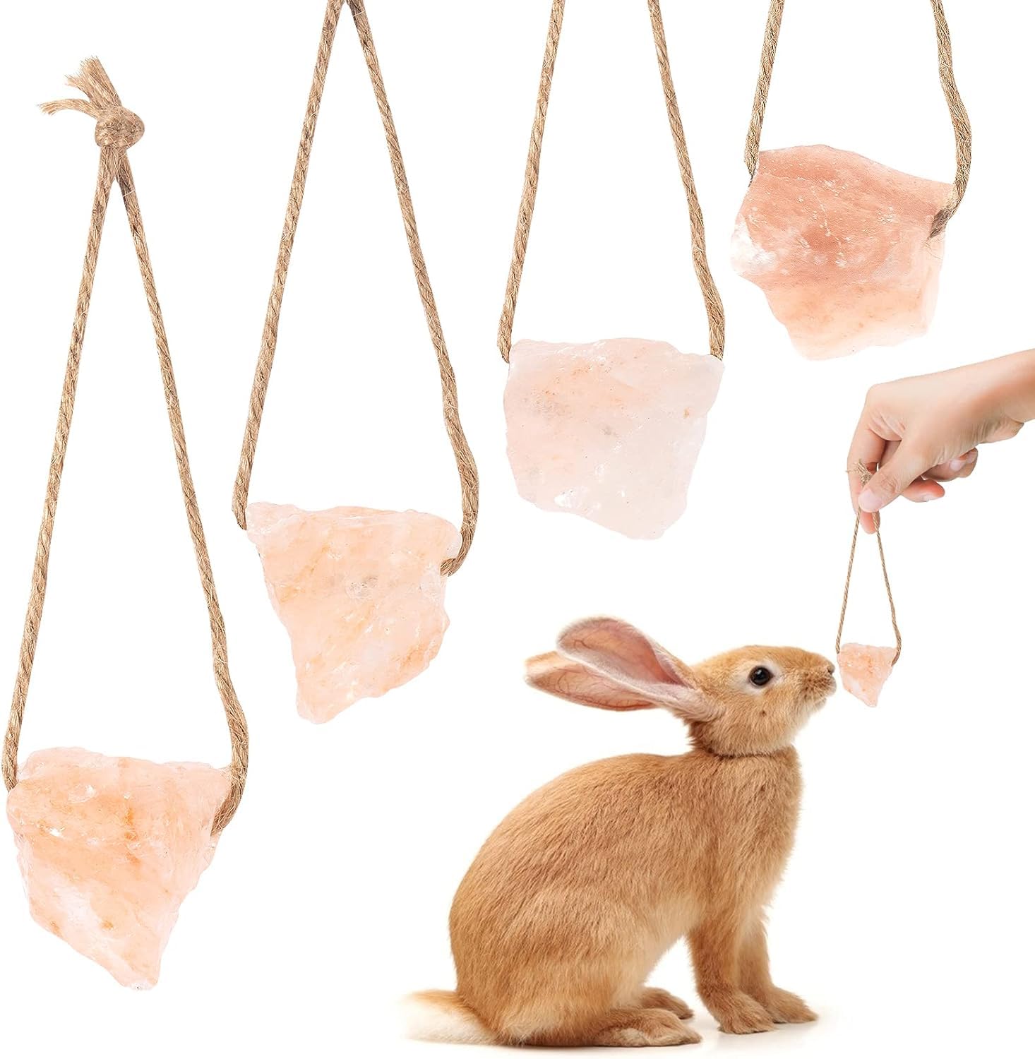 Himalayan Salt Lick Chew Blocks for Rabbits & Guinea Pigs - 2 Pack for guinea pigs, rabbits from Burrowly small pet supp